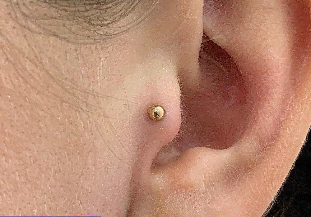 Tragus ear piercing by Silver Lining Sheffield